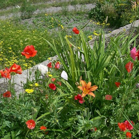 Guest House Nazy Kazbegi Exterior foto