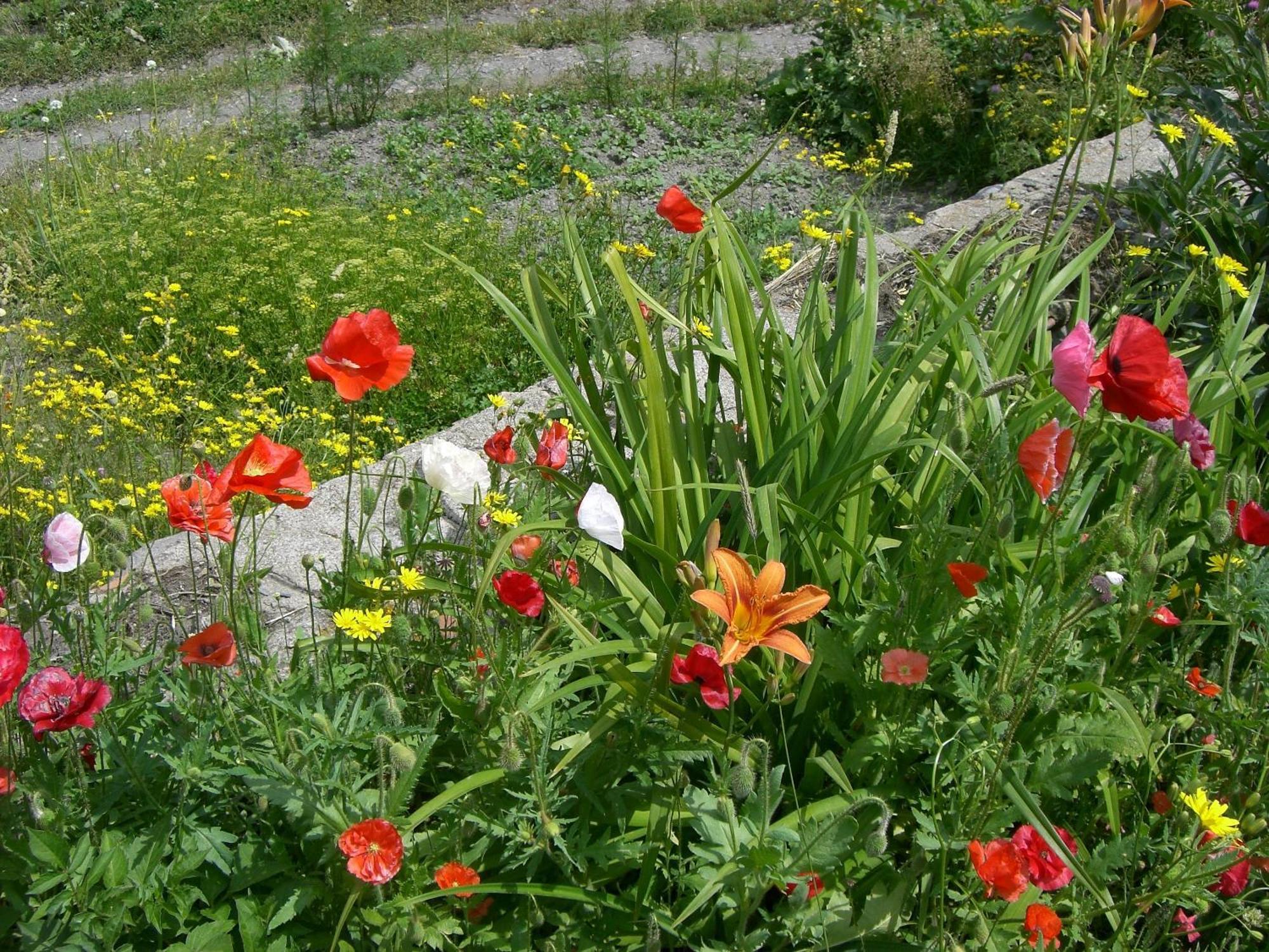Guest House Nazy Kazbegi Exterior foto